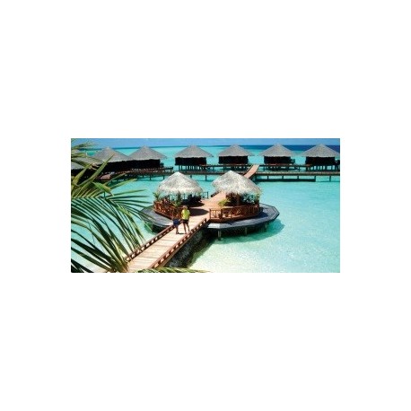 Sun Island Resort& Spa 4*