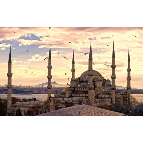 ISTANBUL - Avion 5 zile